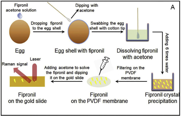 Fipronil Pesticide industry insight