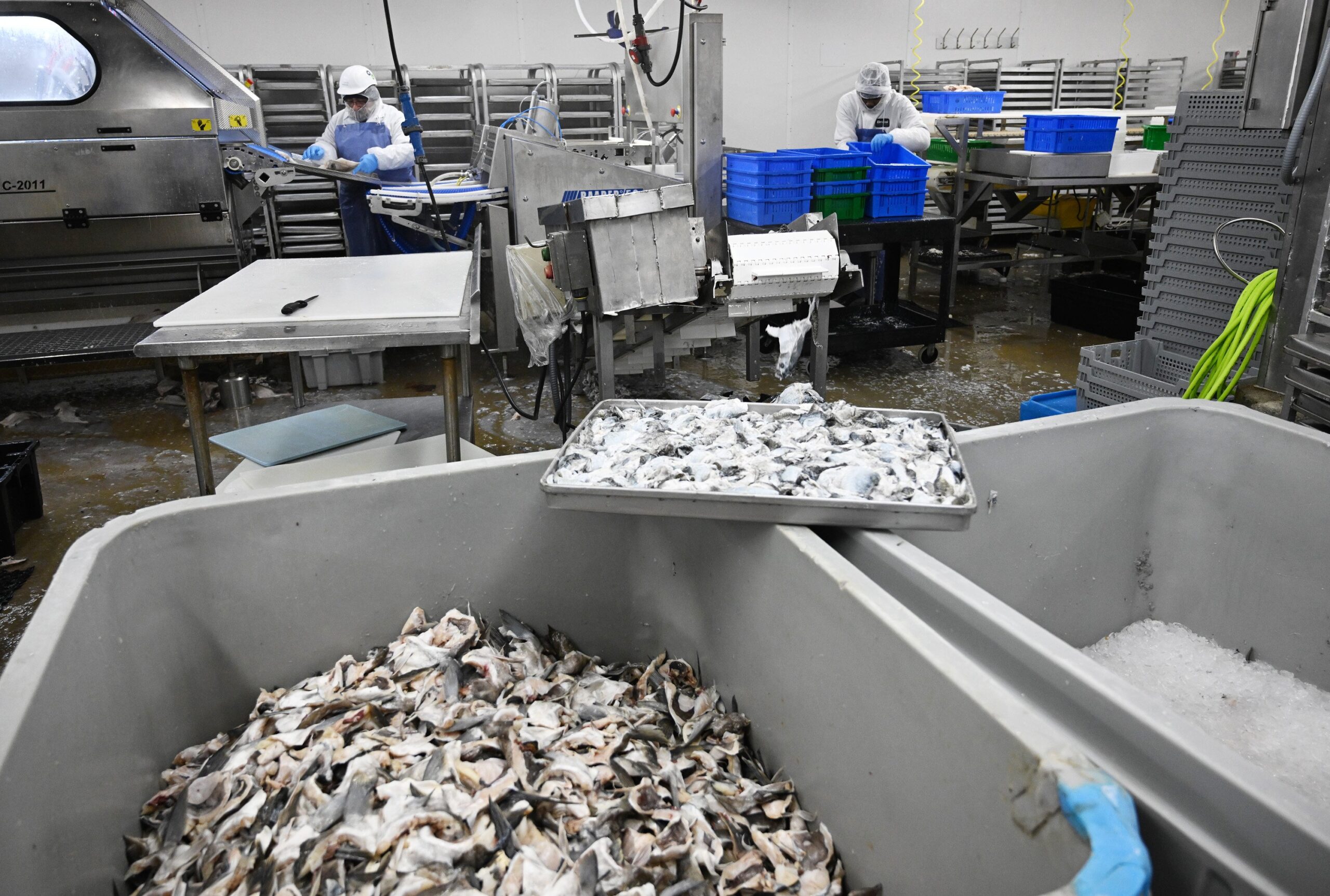 Fish Feces Fertilizer industry insight