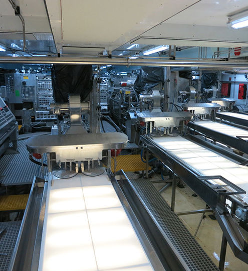 Fish Filleting Tables industry insight