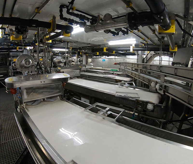 Fish Filleting Tables industry insight