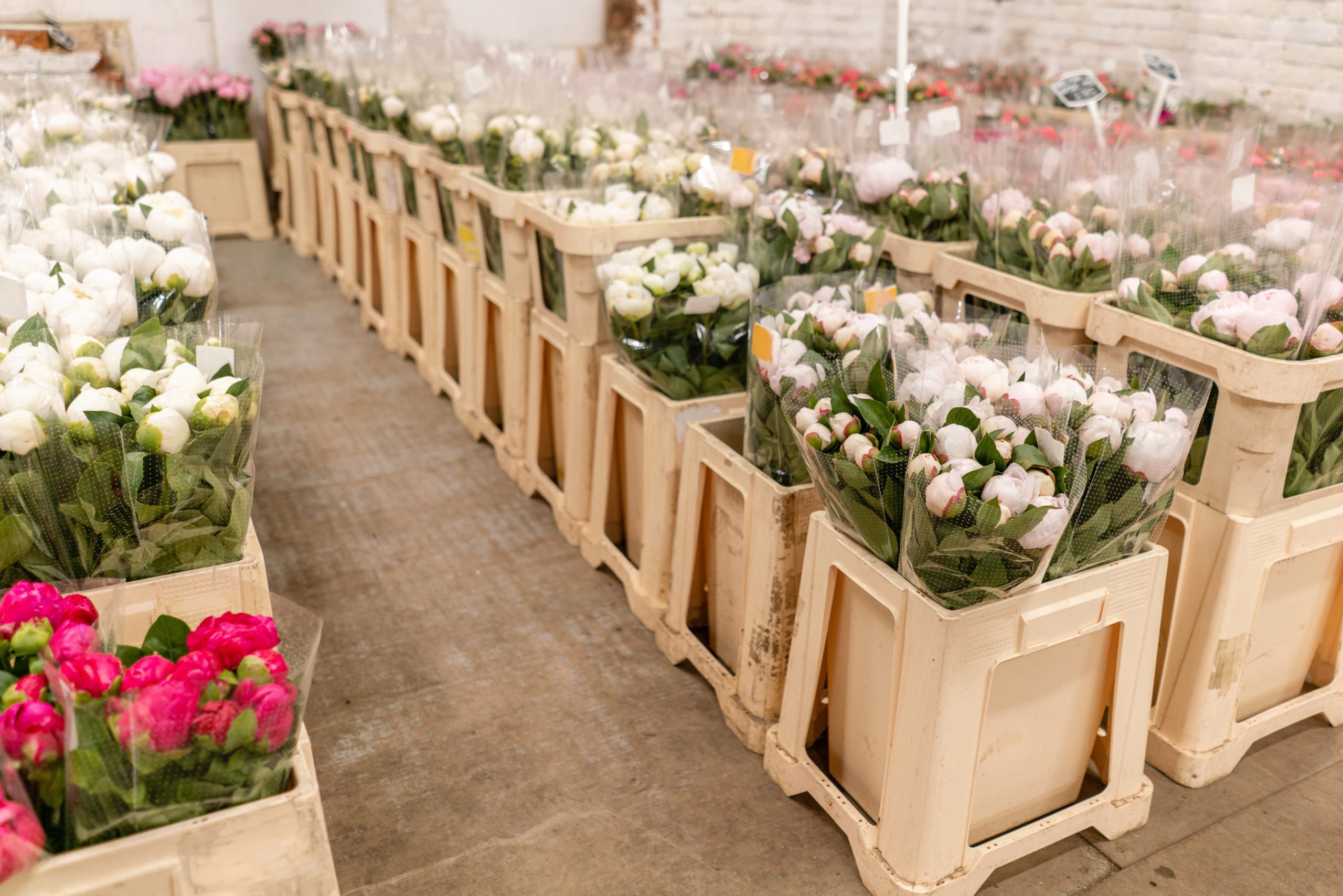 Florist Accessories Wholesale industry insight