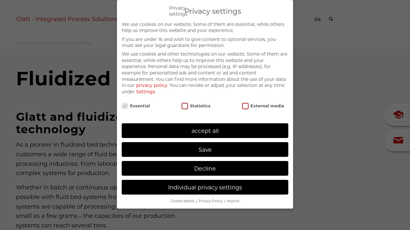 Fluidized bed systems
