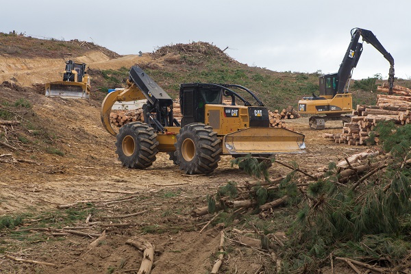 Forestry & Logging Equipment