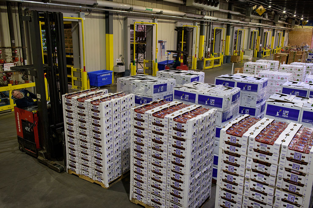 Four Seasons Wholesale industry insight