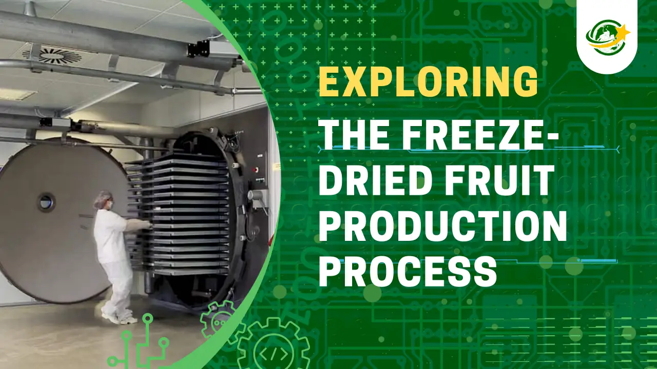 Freeze Dried Fruit Bulk industry insight