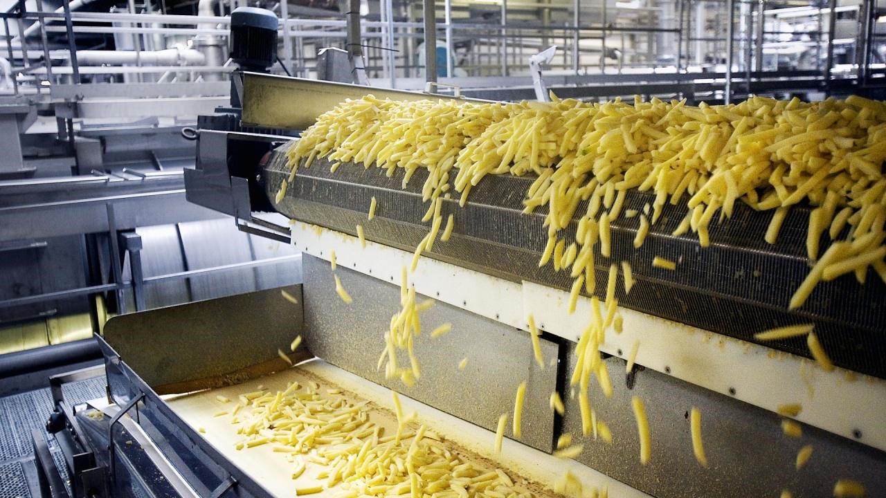 Freeze Dried Potato industry insight