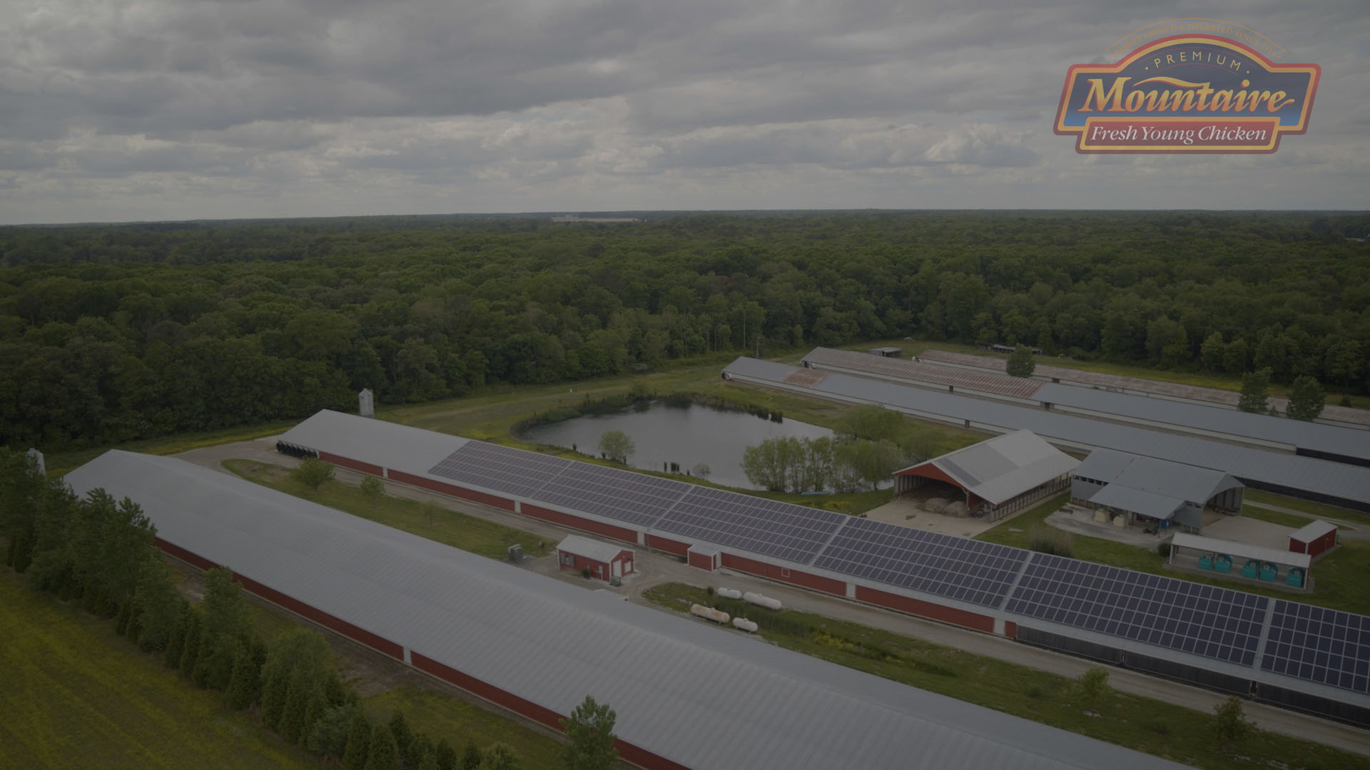 Fresh Chicken Products Manufacturer