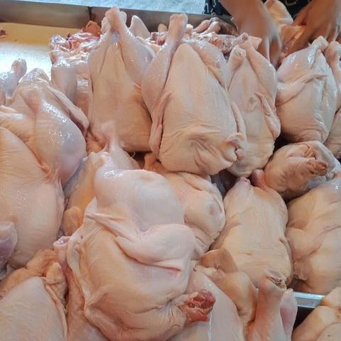 Fresh Chicken Products Manufacturer
