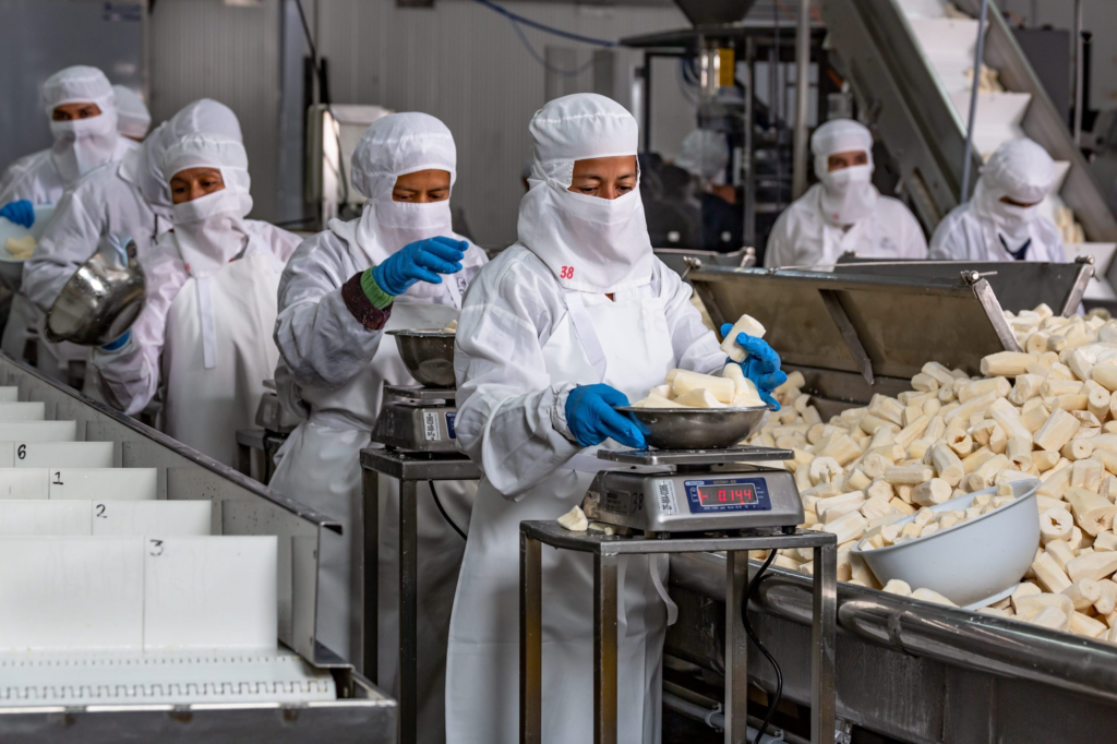 Frozen Products Distributors industry insight