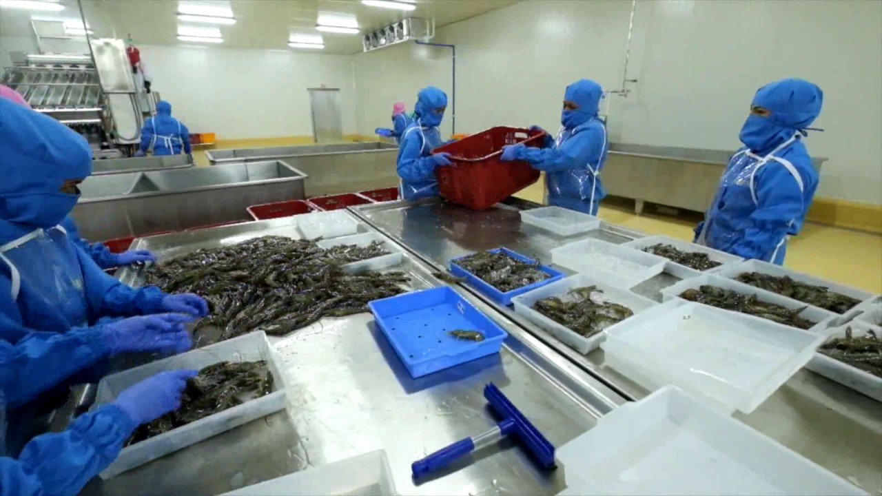 Frozen Seafood Companies industry insight