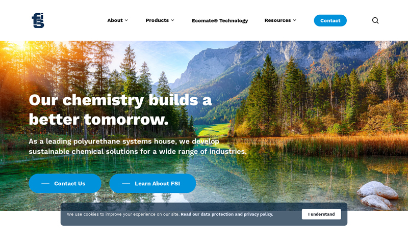 FSI - Global Polyurethane Systems House