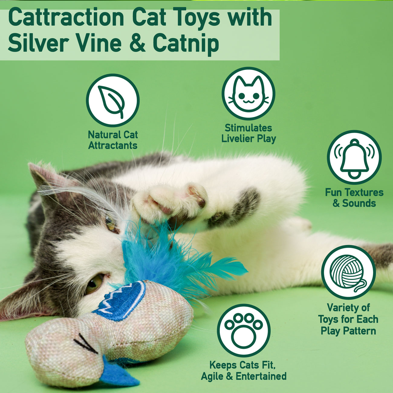 Fun & Entertaining Cat Toys