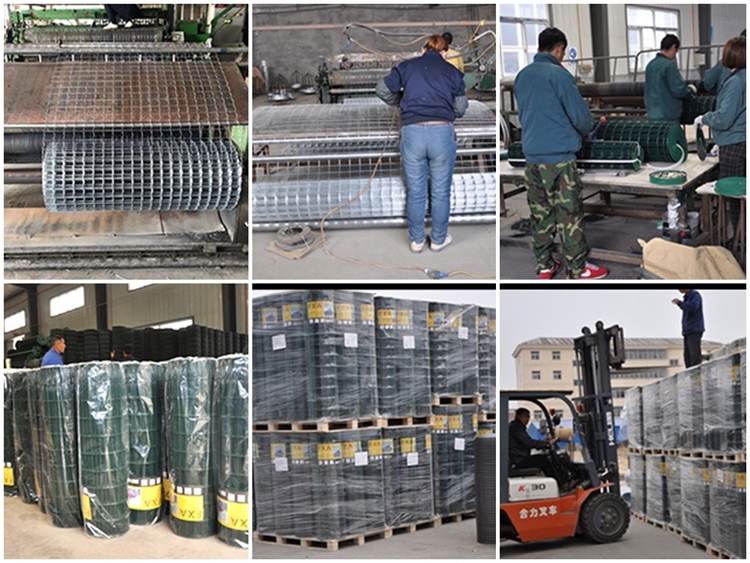 Gabion Rock industry insight