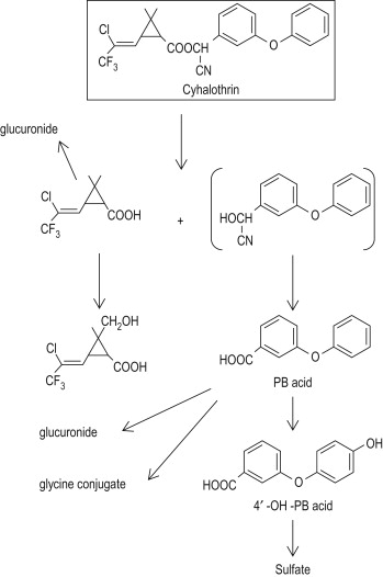 Gamma Cyhalothrin industry insight