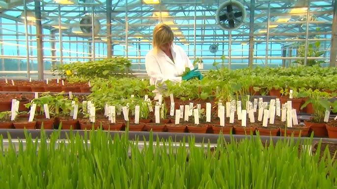 Gamma Cyhalothrin industry insight