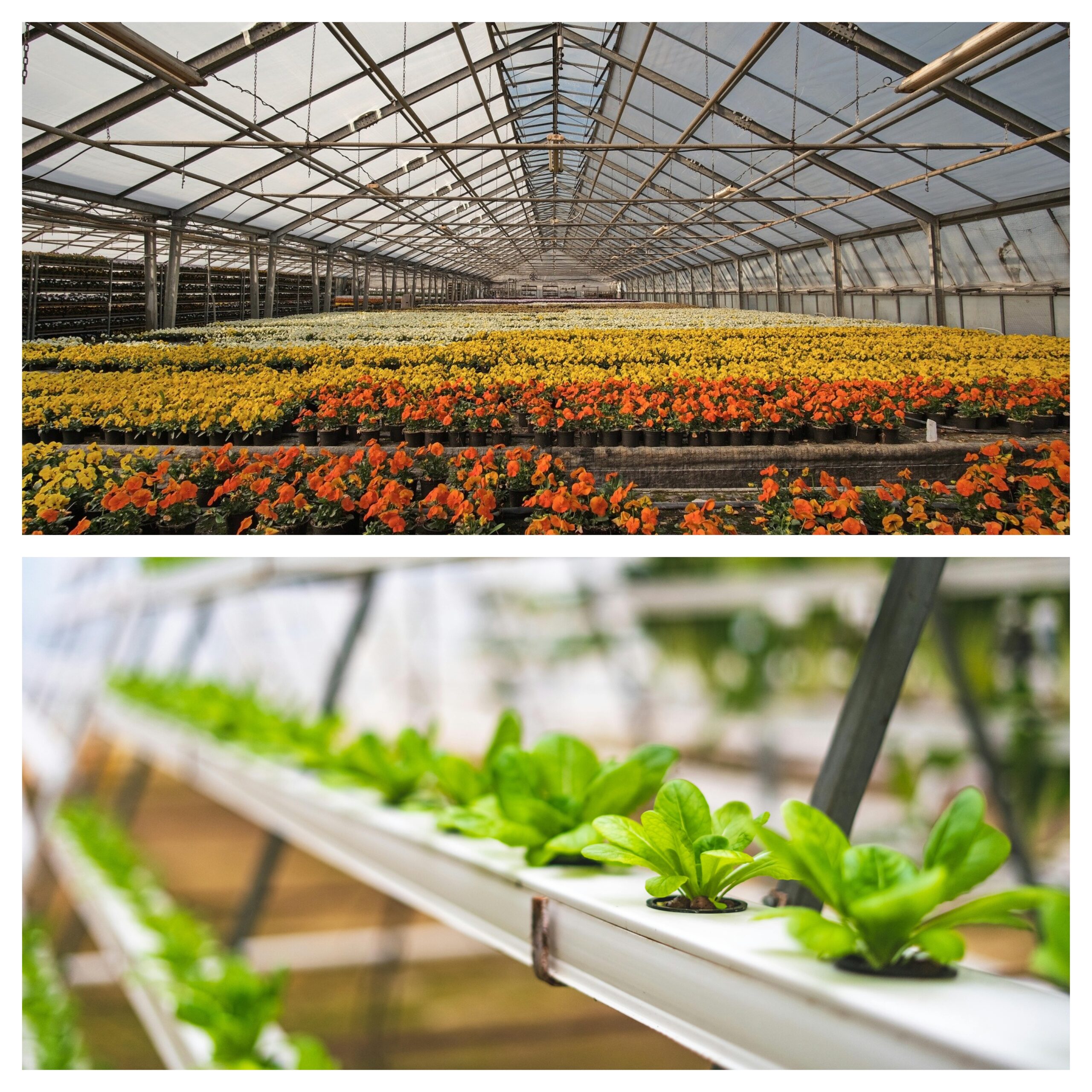 Garden Supply Wholesale industry insight