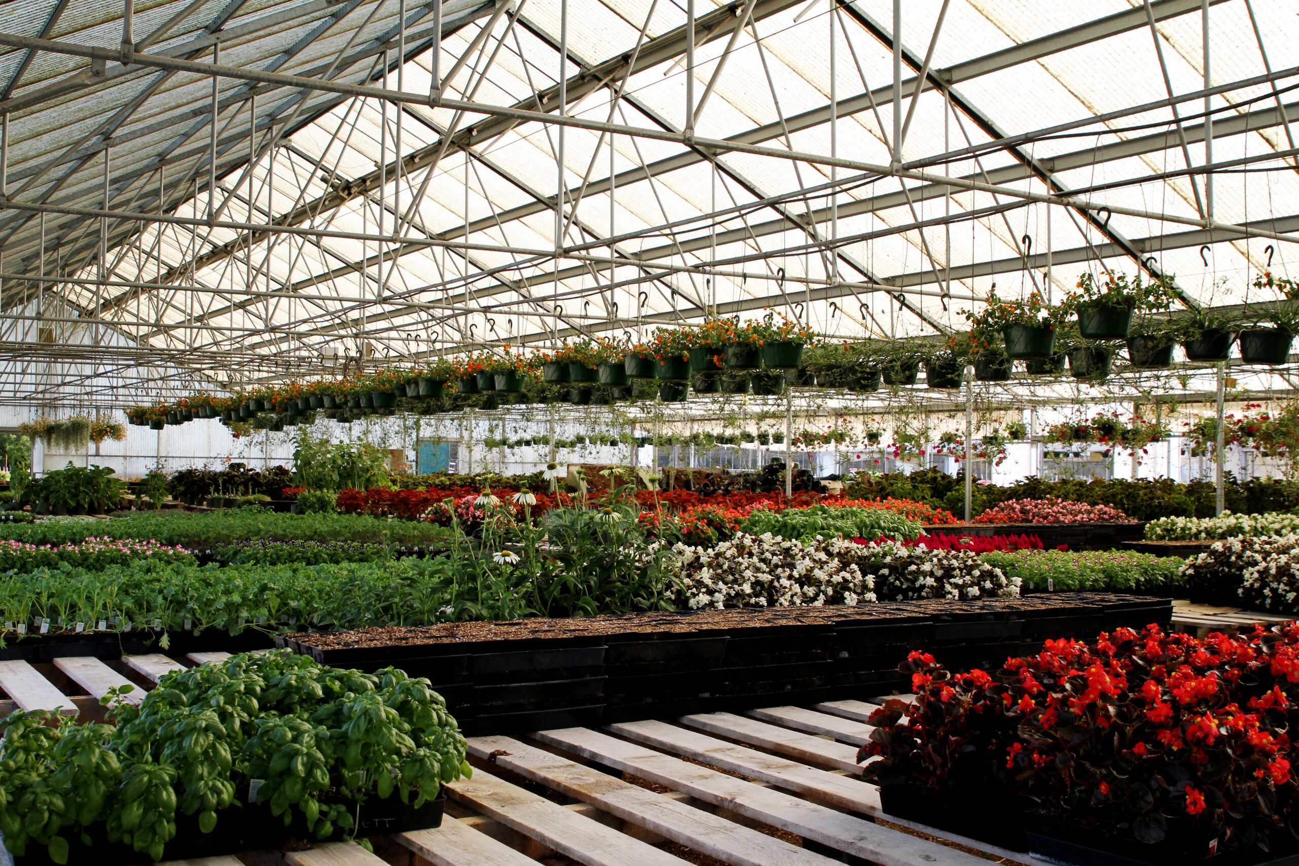 Garden Wholesale industry insight