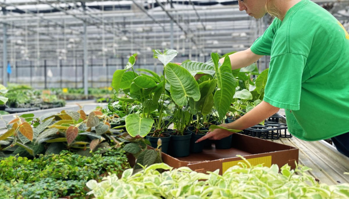 Garden Wholesale industry insight