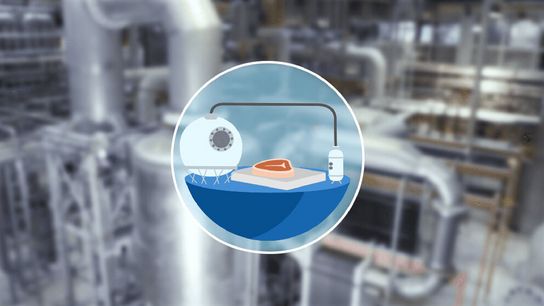 Gelatine Bovine industry insight