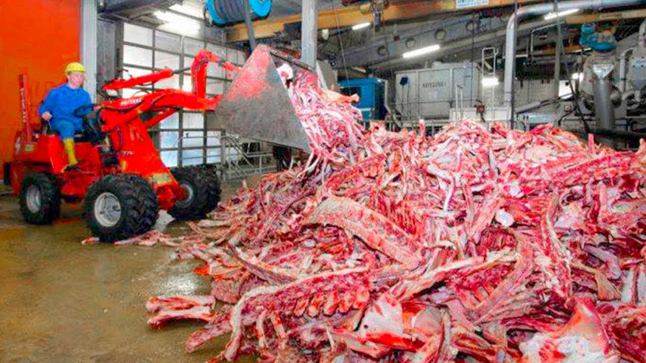 Gelatine Bovine industry insight