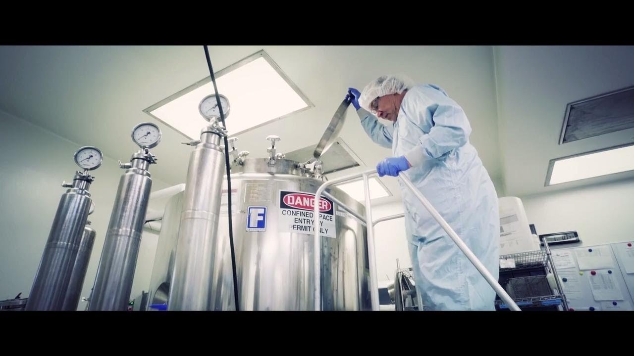 Gibco Fbs industry insight