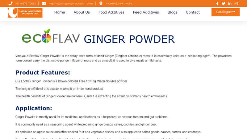 Ginger Powder Manufacturer By Vinayak Ingredients