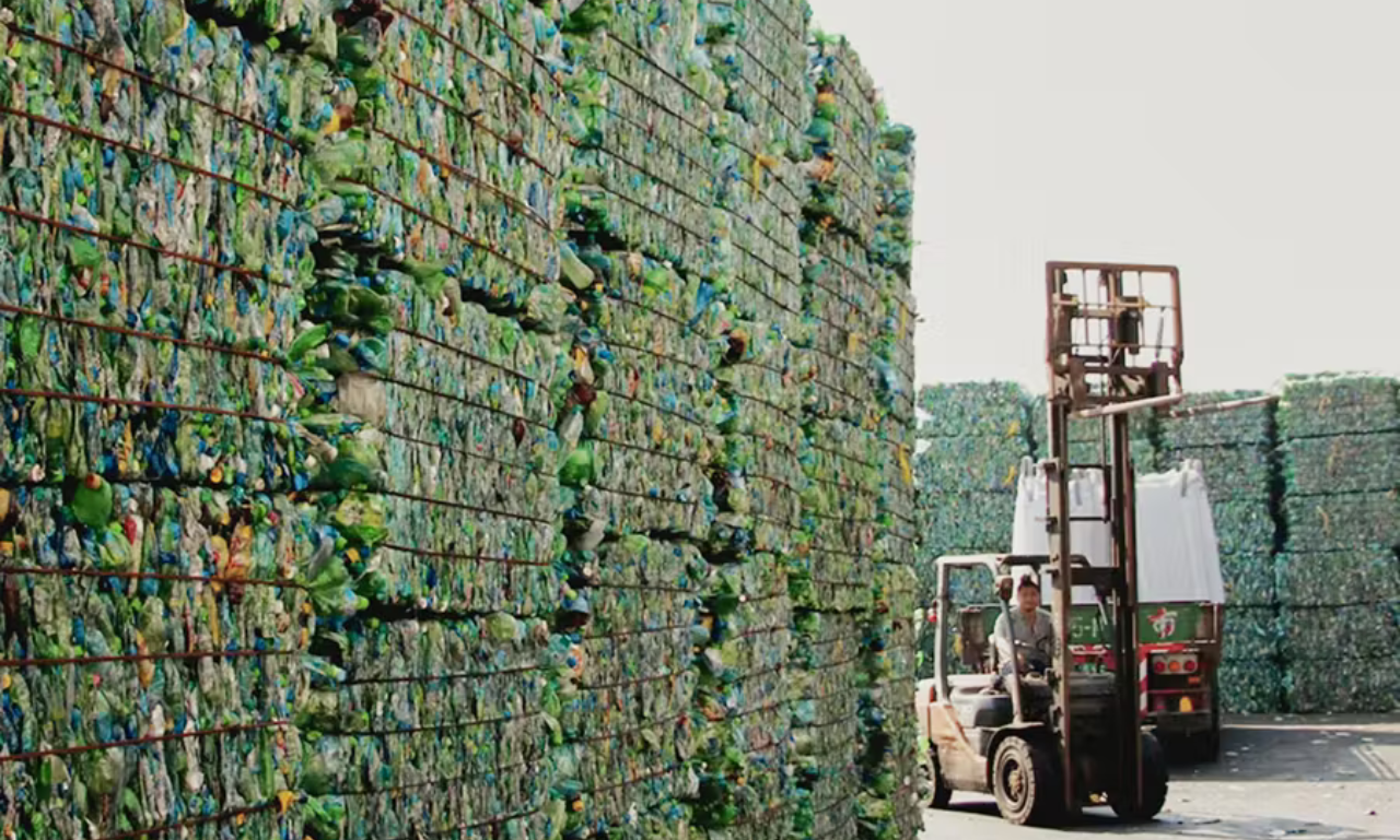 Girlfriend Collective