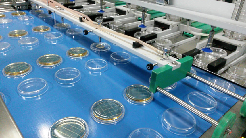 Glass Petri Dish industry insight