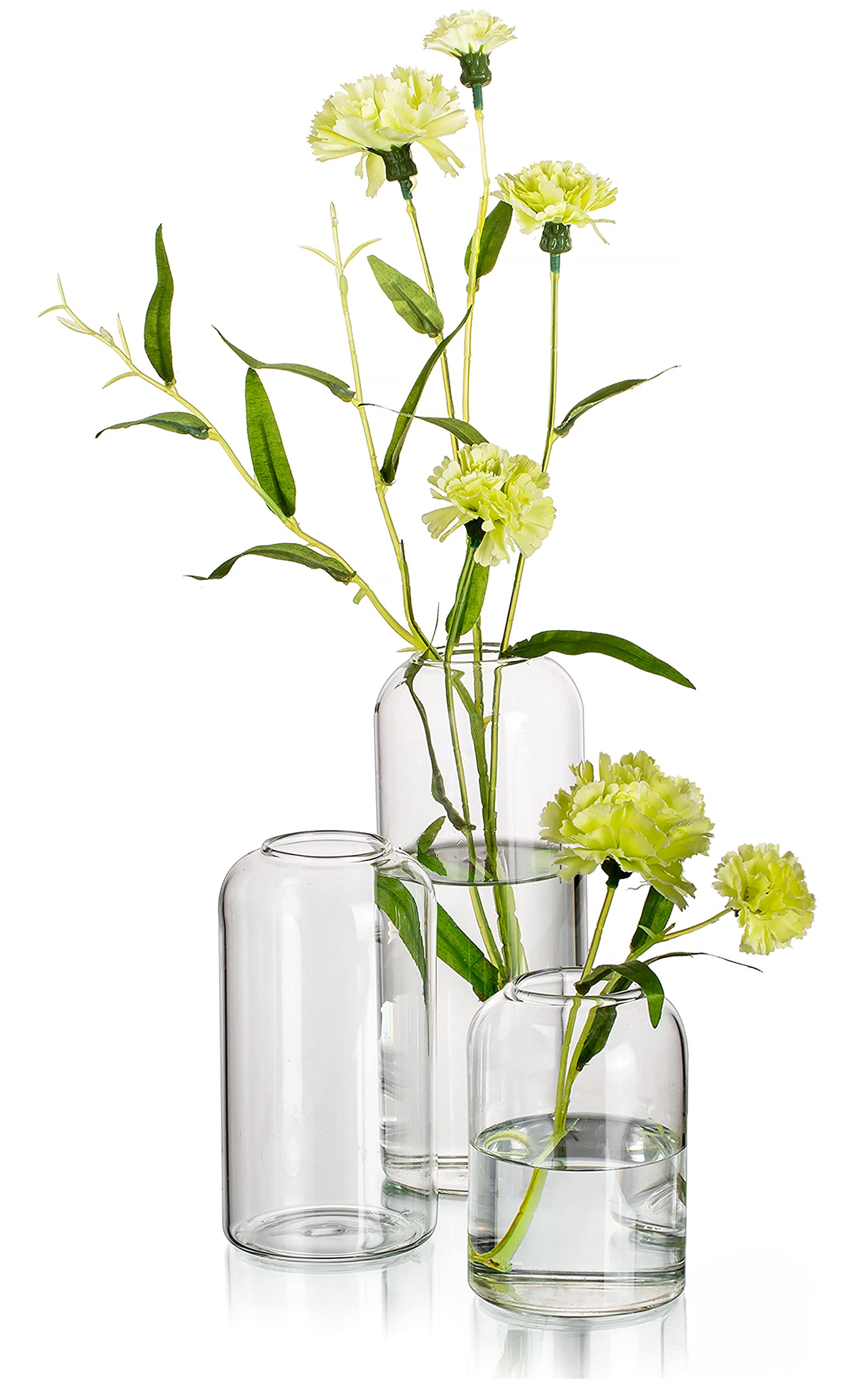 Glass Vase, Flower Vase, & Glass Vases
