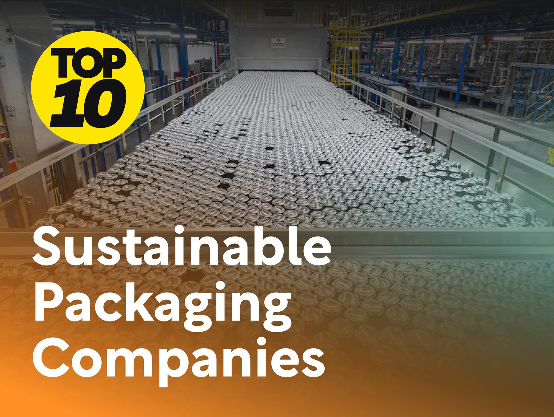 Global Packaging Manufacturer Driving Sustainable Packaging
