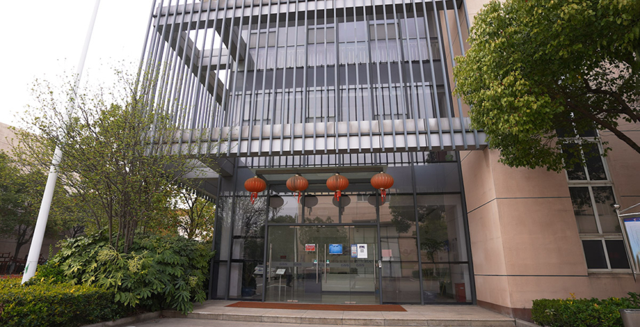 Global Steering Systems