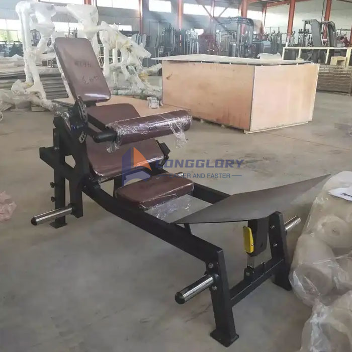 Glute Bridge Machine industry insight