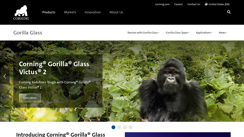 Gorilla Glass