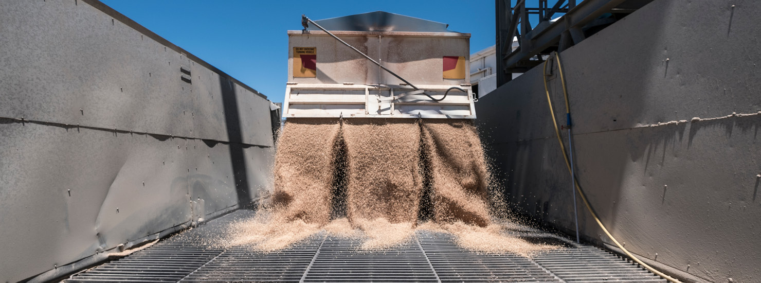 Grain Analyser industry insight