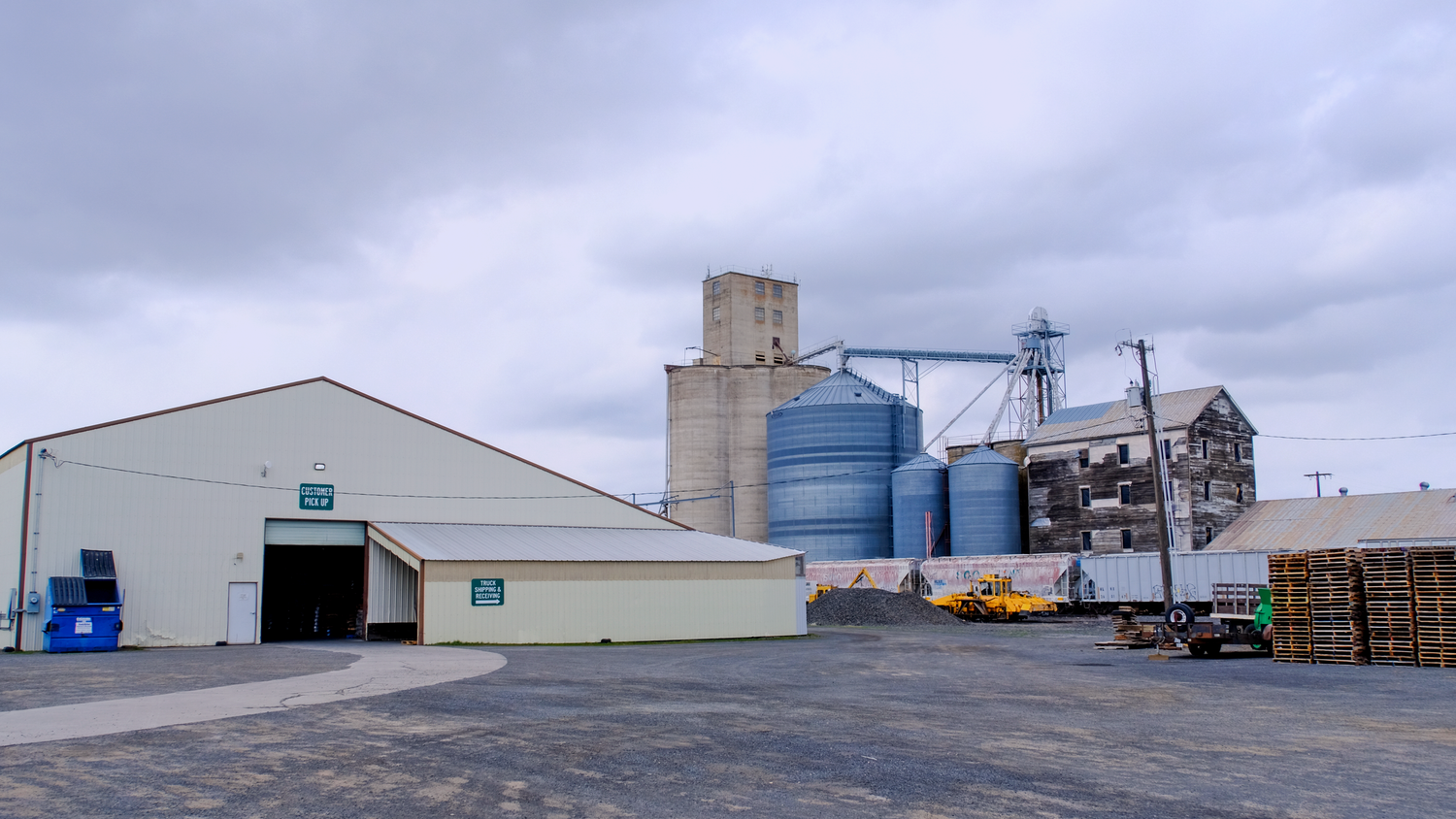 Grass Seed industry insight