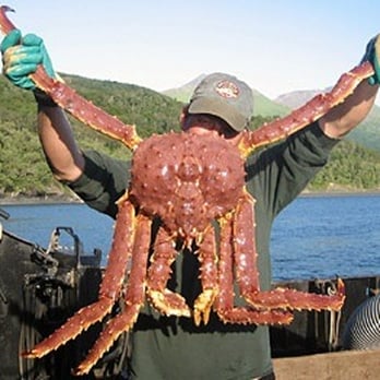 Great Alaska Seafood