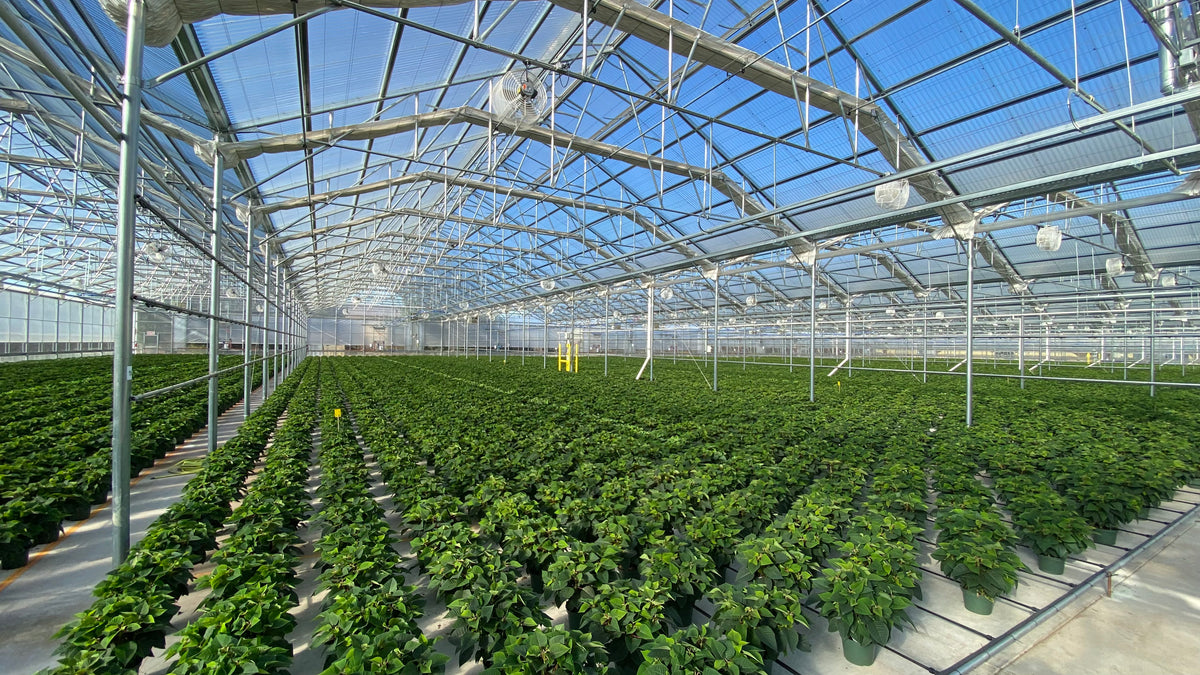 Greenhouse Supplies Wholesale industry insight