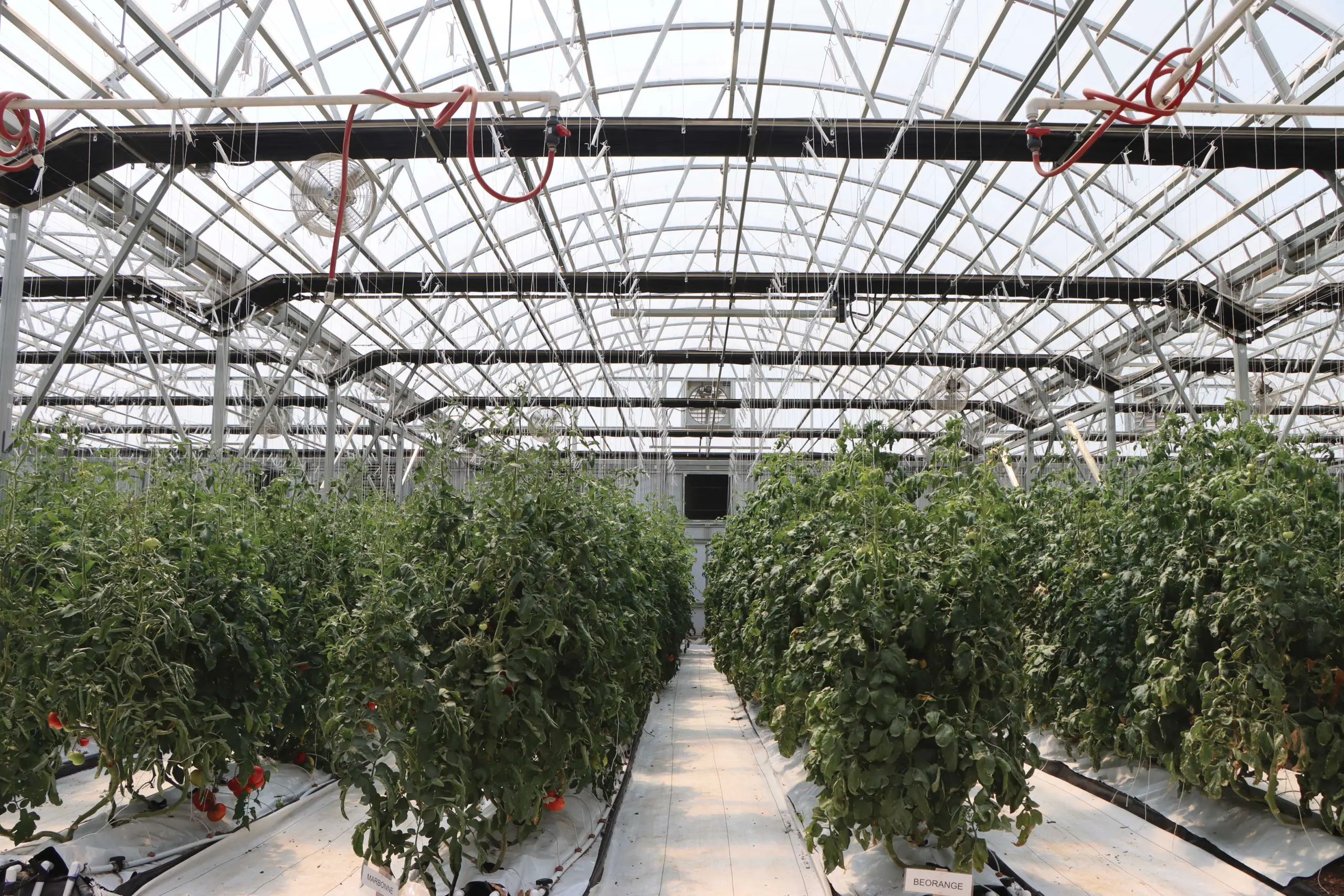 Greenhouse Supplies Wholesale industry insight