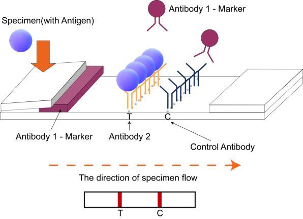 H Pylori Kit Test industry insight