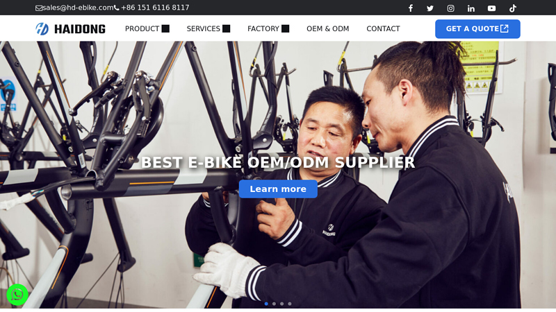 Haidong Electric Bike