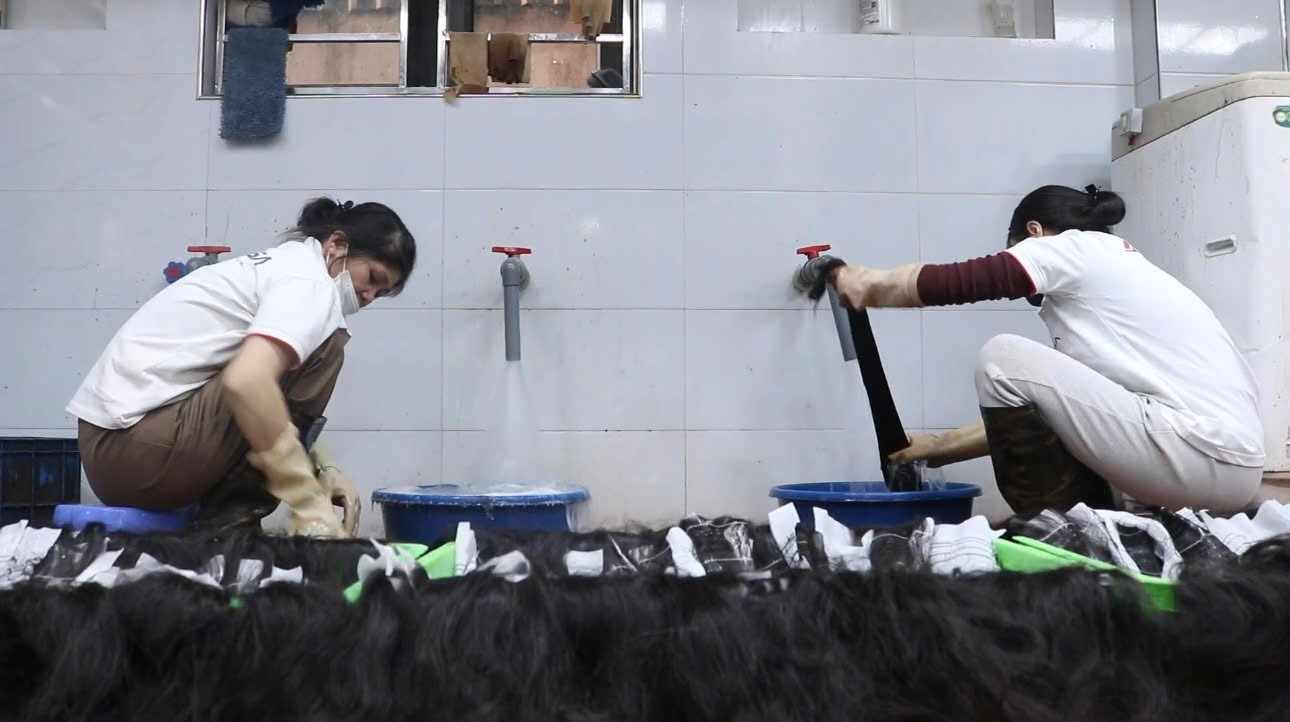 Hair Bulk industry insight