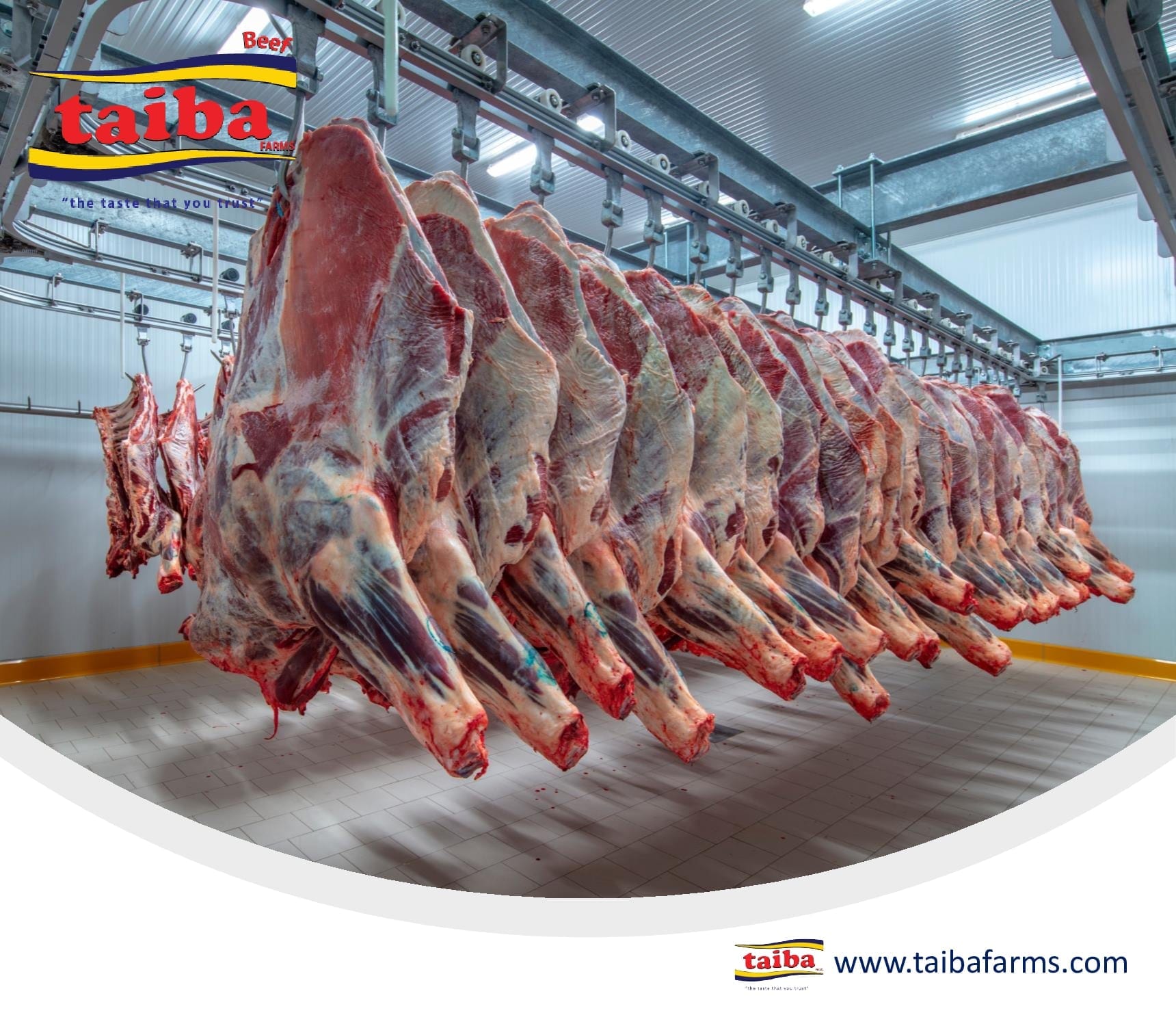 Halal Meat Wholesale Prices industry insight
