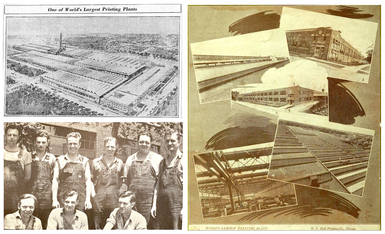 Hall'S Wholesale industry insight