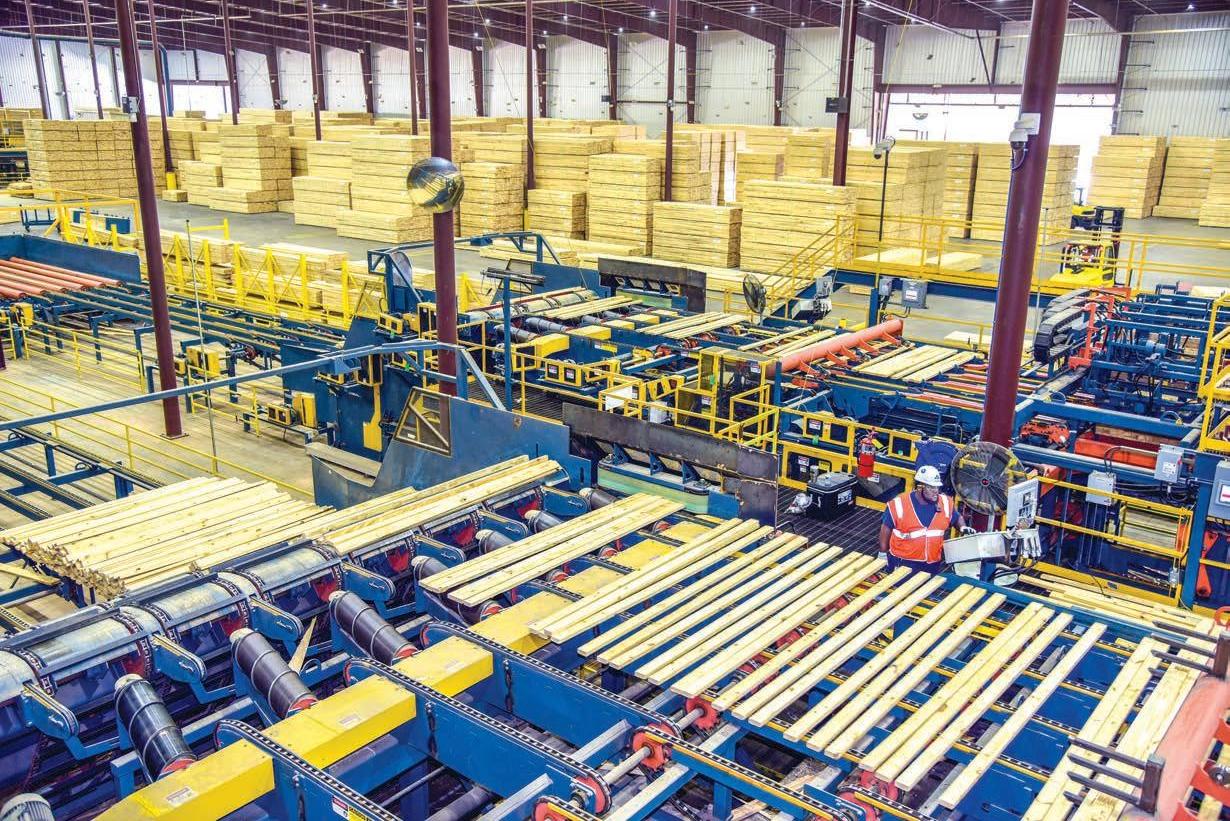 Hand Power Planer industry insight