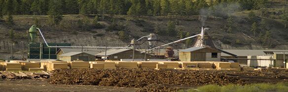 Hardwood Lumber industry insight