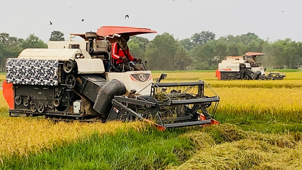 Harvesting Equipment