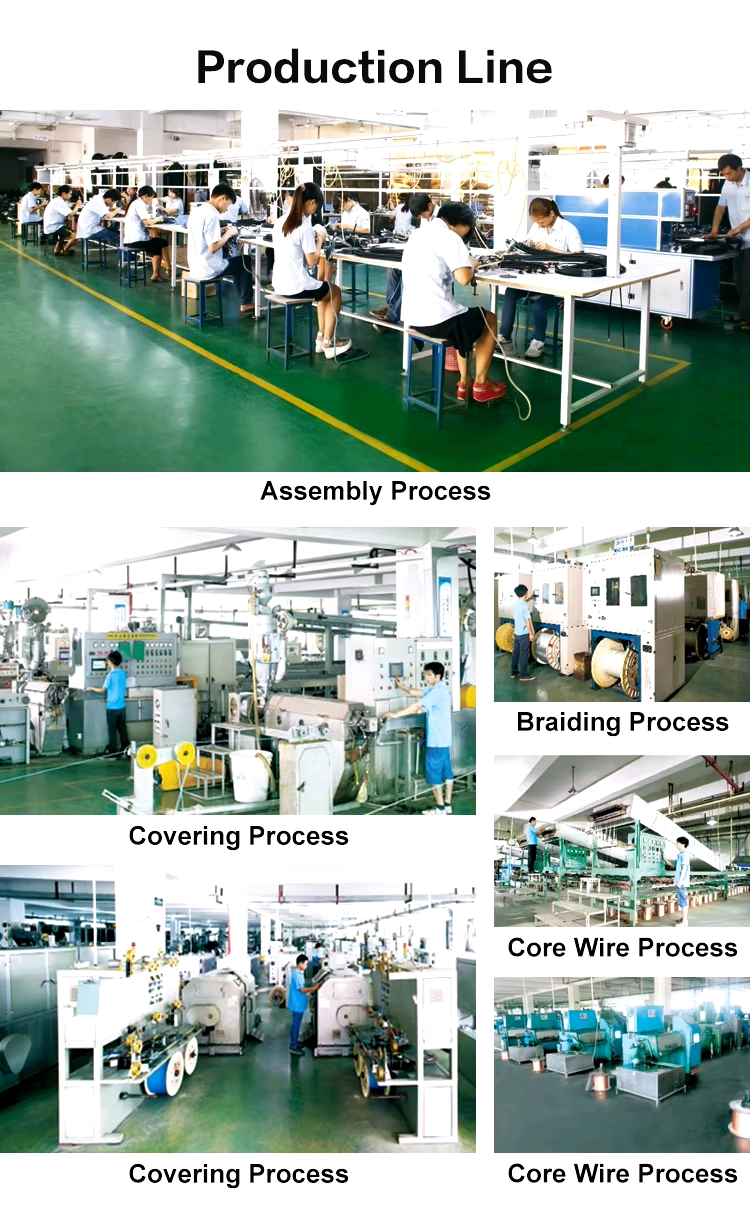 Hdmi And Dp Cable industry insight