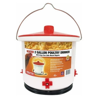 Heated 2 Gal Chicken Water Bucket