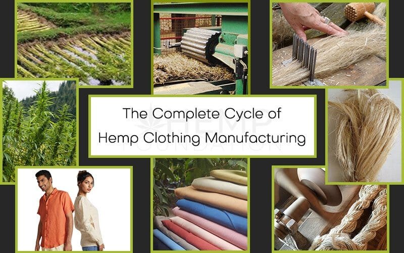 Hemp Clothing Wholesale industry insight