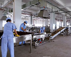 Herbal Wholesale Distributors industry insight